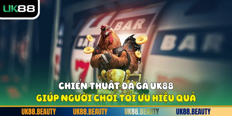 Chiến thuật Đá gà UK88 giúp người chơi tối ưu hiệu quả